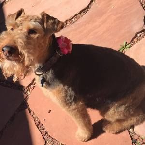 Meet your Posher, Dana